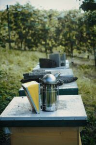 Essential Equipment For Beekeeping