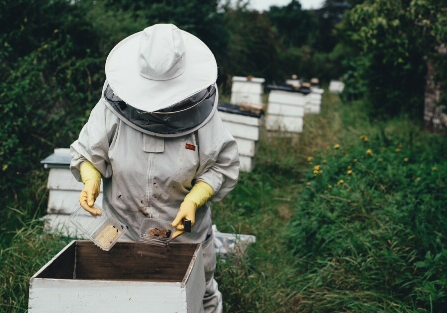 Busy Beekeeper