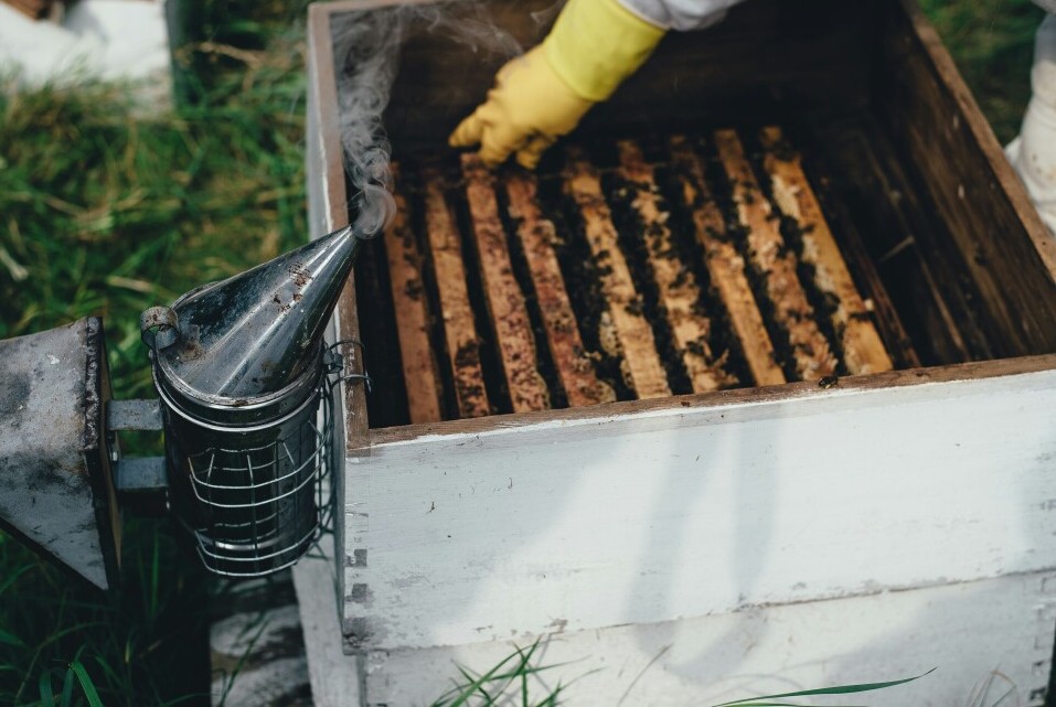 hive box 