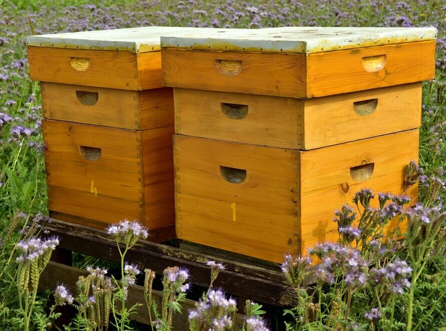 Beehives
