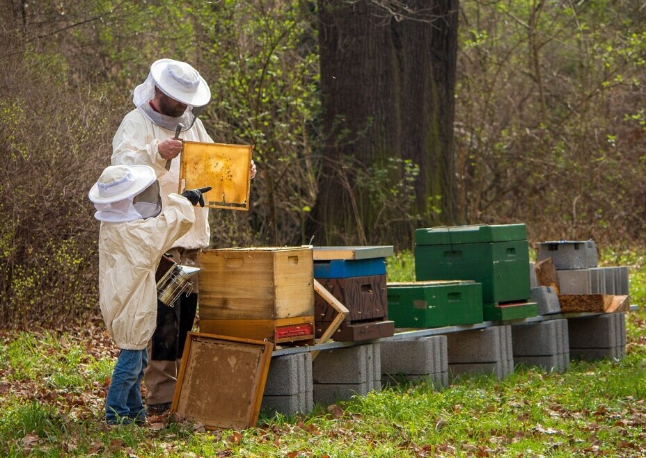 Kids Beekeeping