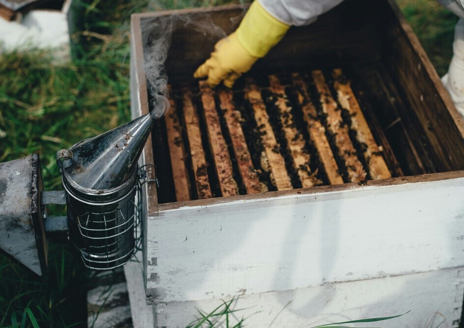 Monitor your hives