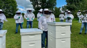 Small Scale Vs. Commercial Beekeeping Practices