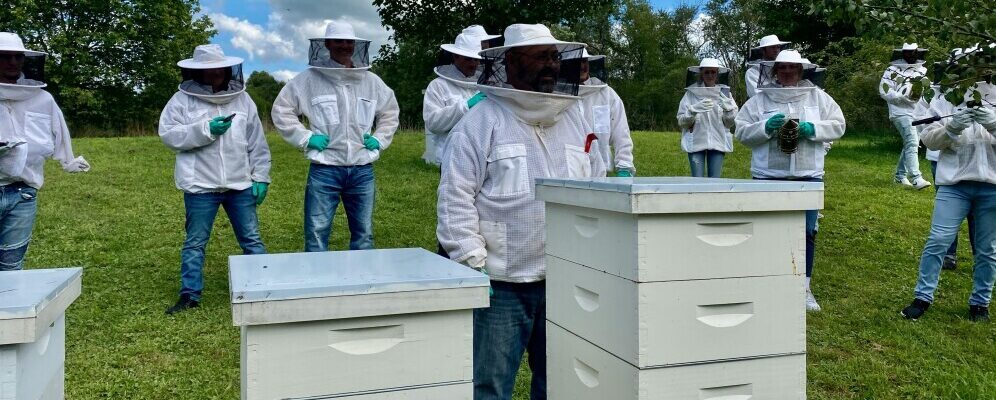 Small Scale Vs. Commercial Beekeeping Practices