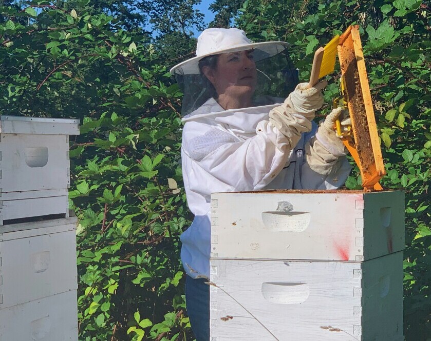 Langstroth Hive