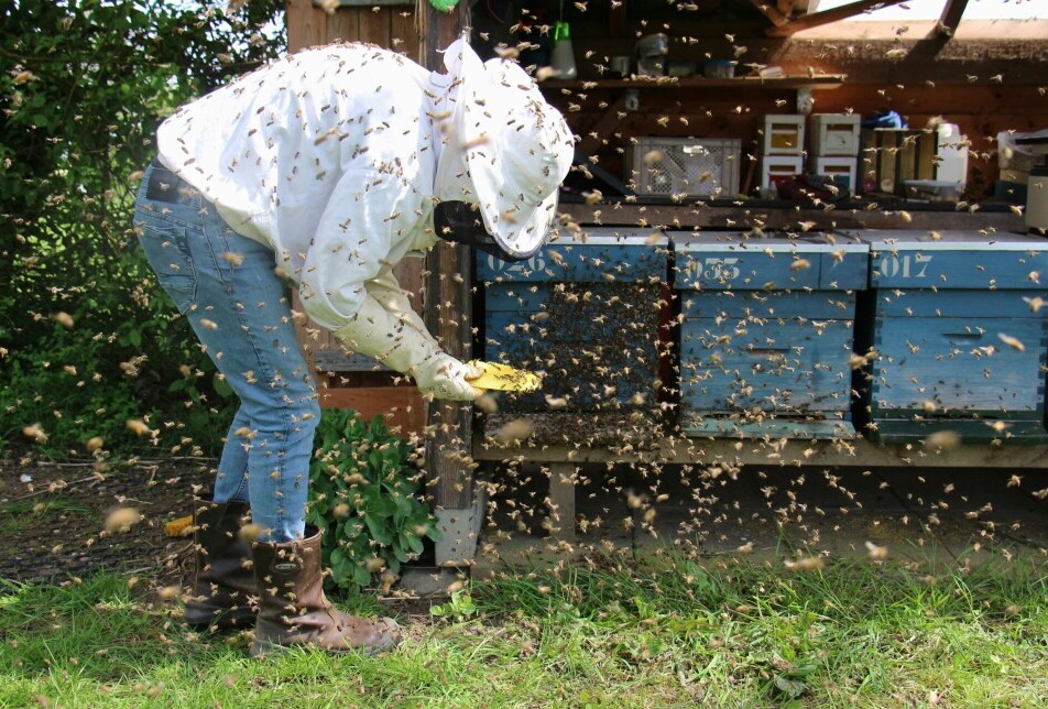 Beekeepers