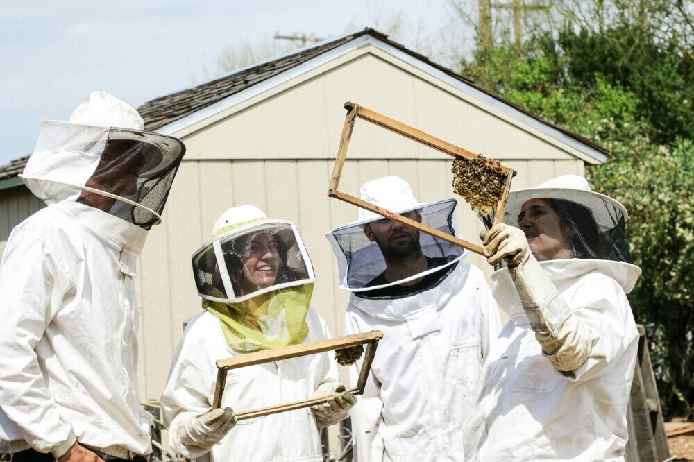 Beekeeping Education
